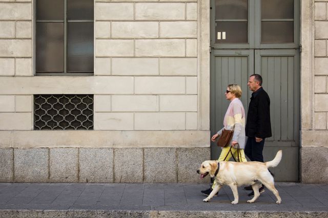 Ein Ehepaar läuft mit ihrem Hund die Straße entlang.