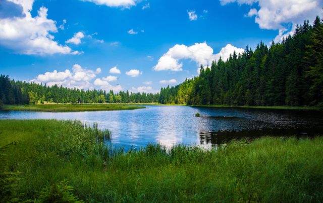 Klarer See im Wald; Nachhaltige Geldanlage - diese Regeln gelten jetzt