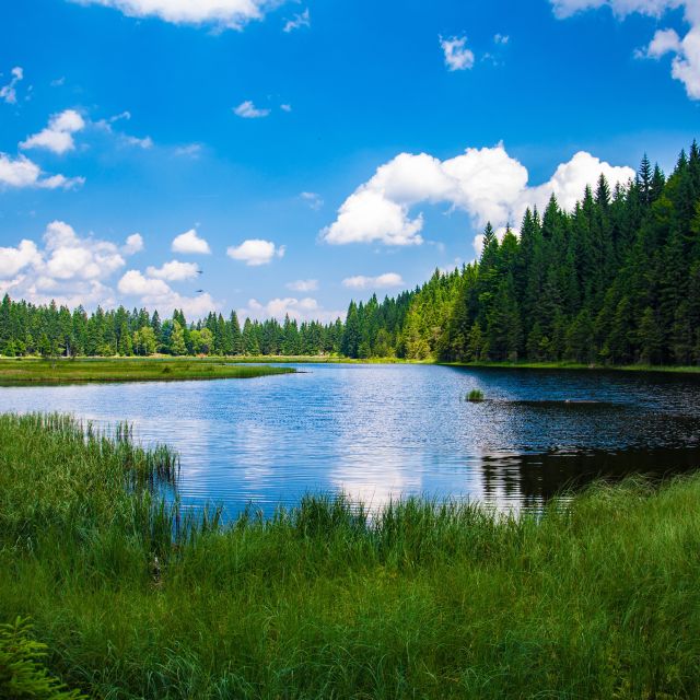 Klarer See im Wald; Nachhaltige Geldanlage - diese Regeln gelten jetzt
