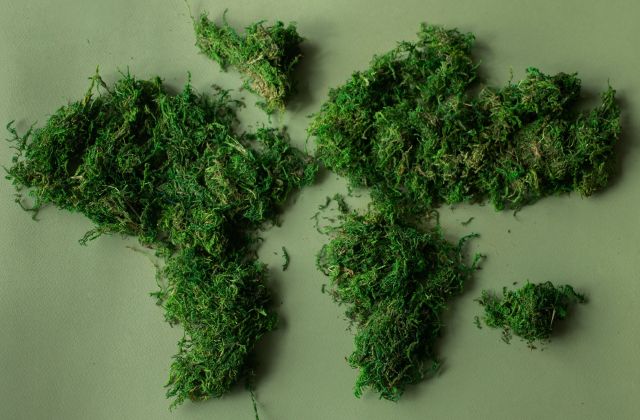 Weltkarte aus Gras oder Moos; Nachhaltigkeit bei growney: PRI-Prinzipien
