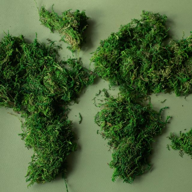 Weltkarte aus Gras oder Moos; Nachhaltigkeit bei growney: PRI-Prinzipien