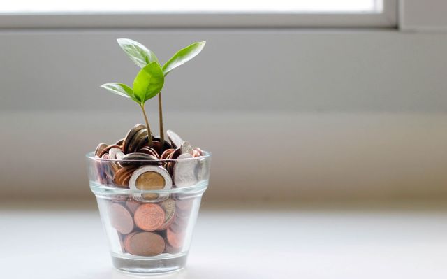 PRI Geldanlage und Nachhaltigkeit: Aus Geld wächst eine Pflanze