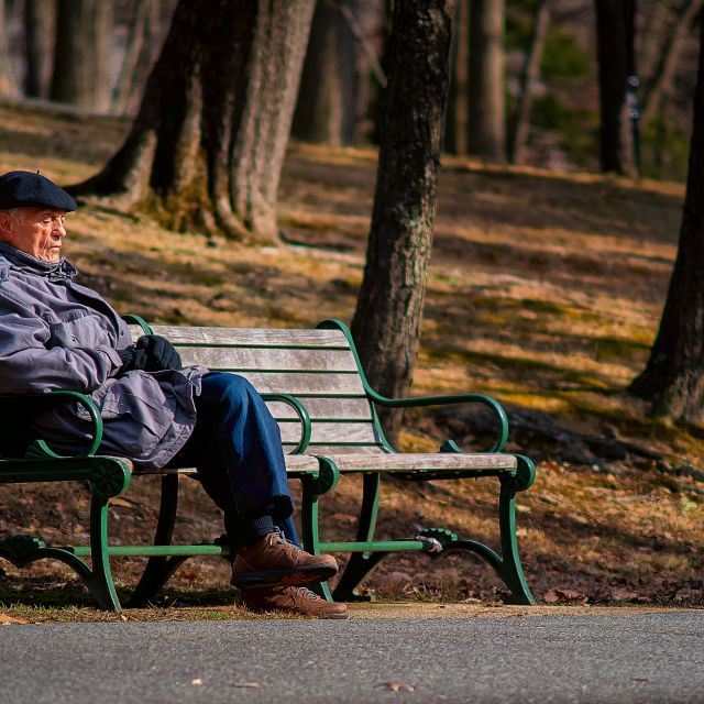 Alter Mann sitzt im Park; Rentenpaket II, Rentenhöhe und Rente 2024