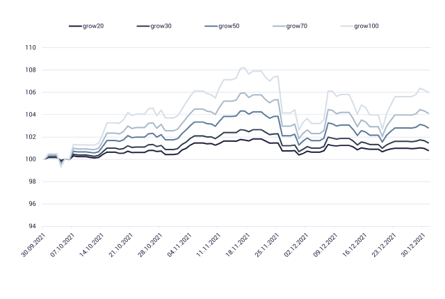 Grafik zeigt die Robo Advisor Performance growney 2021 im 4. Quartal